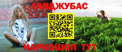 гашик Анжеро-Судженск