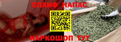 гашик Анжеро-Судженск